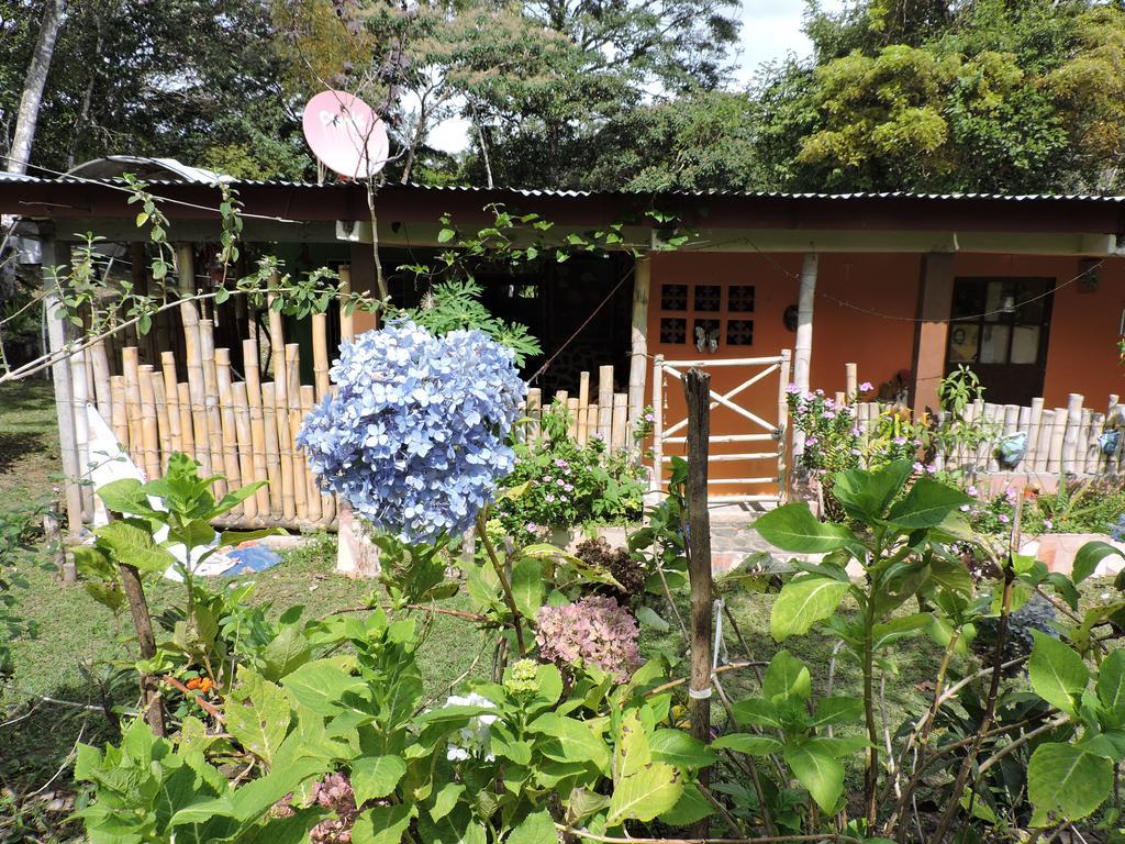 Hostal Familiar El Ángel Panamá B&B Pajonal Arriba Exterior foto