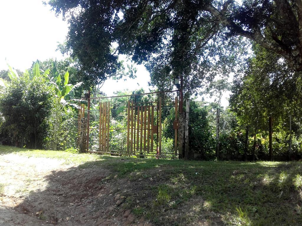 Hostal Familiar El Ángel Panamá B&B Pajonal Arriba Exterior foto